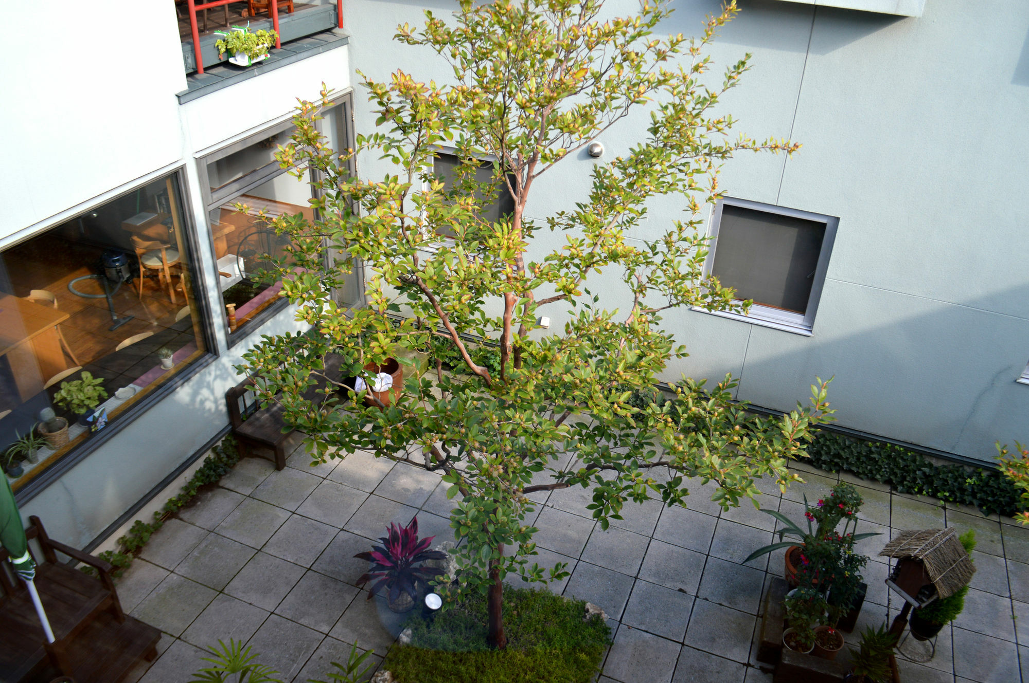 B&B Pension Hakodate-Mura Εξωτερικό φωτογραφία